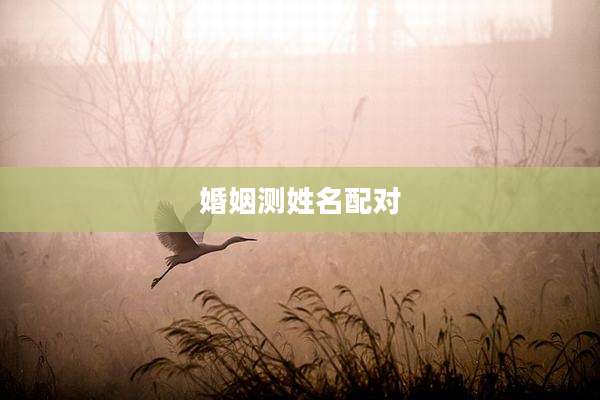 婚姻测姓名配对
