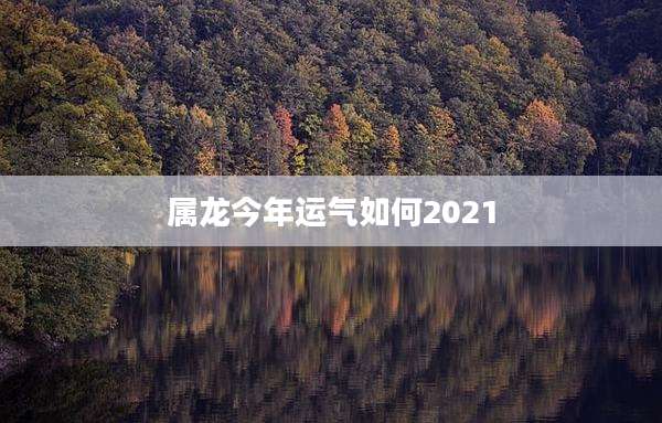 属龙今年运气如何2021