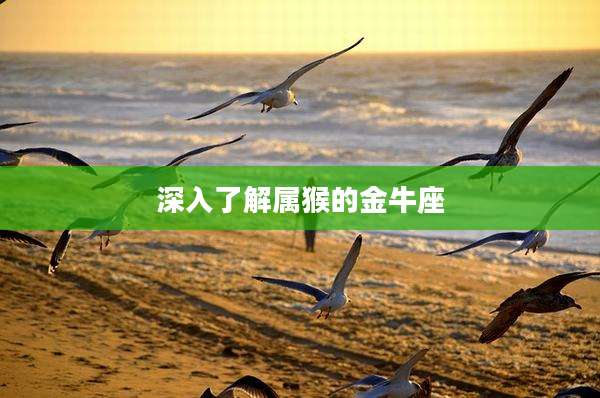 深入了解属猴的金牛座