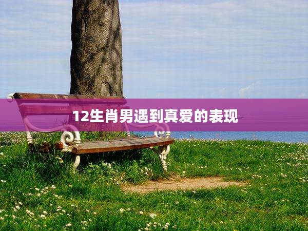 12生肖男遇到真爱的表现