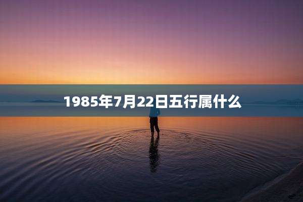 1985年7月22日五行属什么