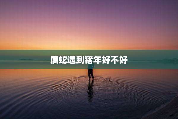 属蛇遇到猪年好不好