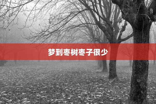 梦到枣树枣子很少
