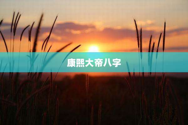 康熙大帝八字