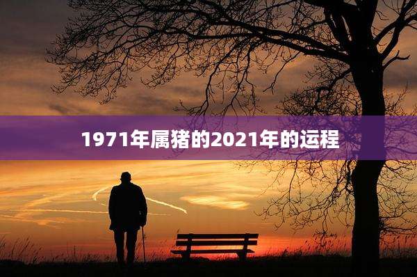 1971年属猪的2021年的运程