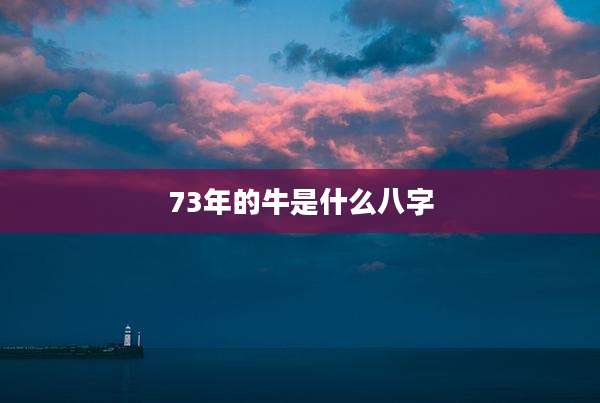 73年的牛是什么八字