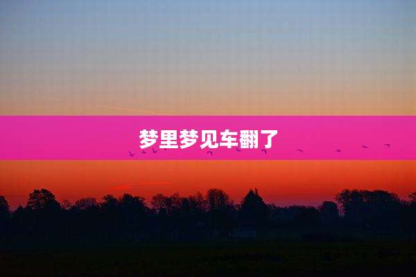 梦里梦见车翻了