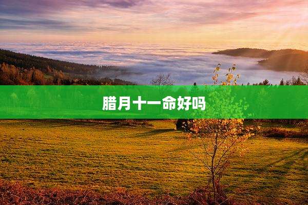 腊月十一命好吗