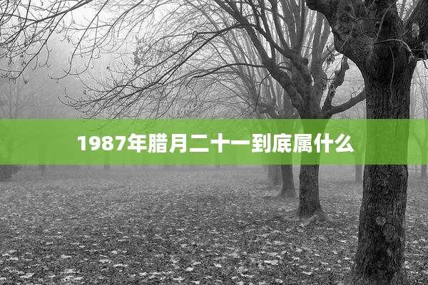 1987年腊月二十一到底属什么