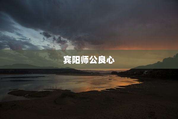 宾阳师公良心