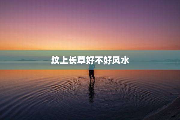 坟上长草好不好风水