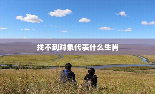 找不到对象代表什么生肖