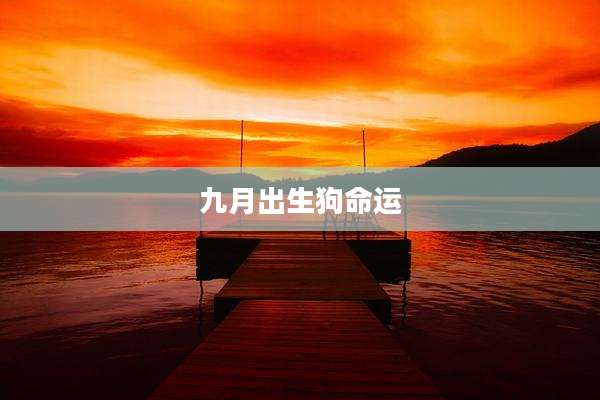 九月出生狗命运