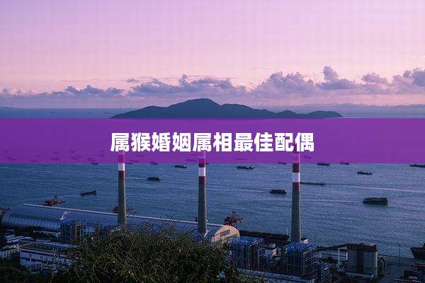 属猴婚姻属相最佳配偶