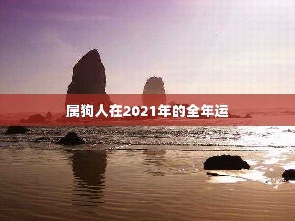 属狗人在2021年的全年运