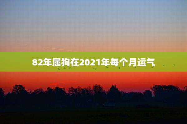 82年属狗在2021年每个月运气