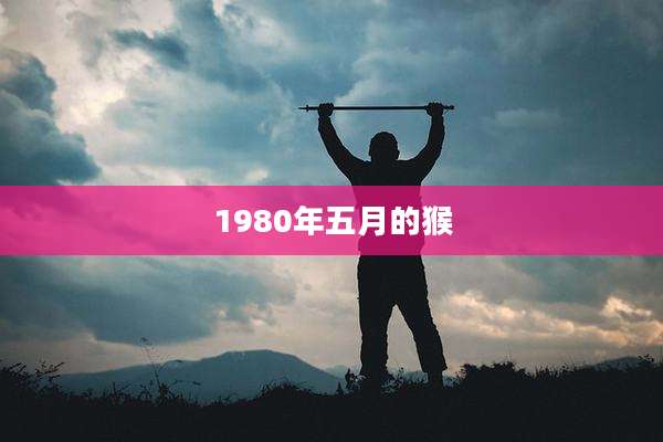 1980年五月的猴