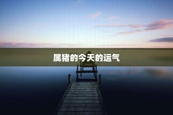 属猪的今天的运气