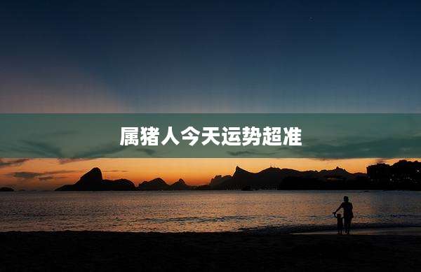 属猪人今天运势超准