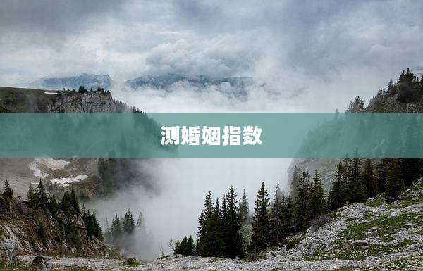 测婚姻指数