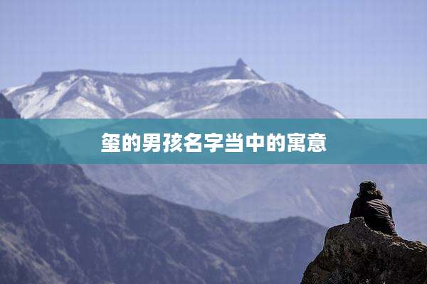 玺的男孩名字当中的寓意