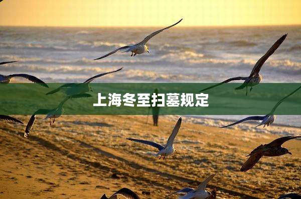 上海冬至扫墓规定