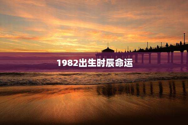 1982出生时辰命运