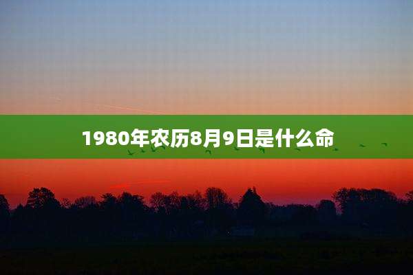 1980年农历8月9日是什么命