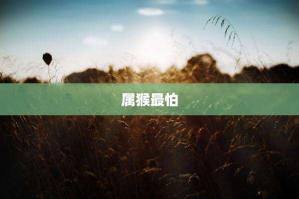 属猴最怕