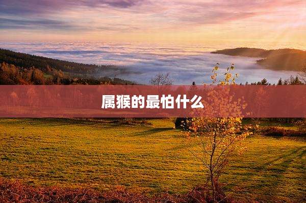 属猴的最怕什么