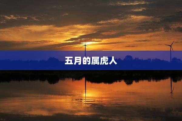 五月的属虎人