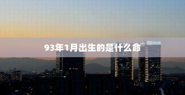 93年1月出生的是什么命