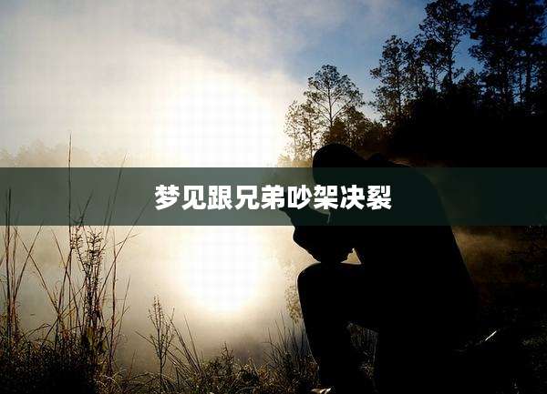 梦见跟兄弟吵架决裂