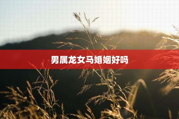 男属龙女马婚姻好吗