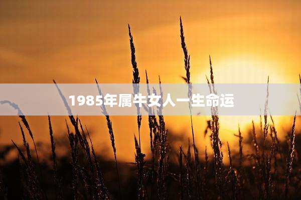 1985年属牛女人一生命运