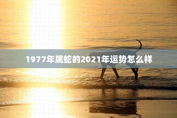 1977年属蛇的2021年运势怎么样