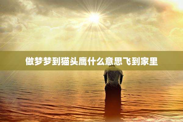 做梦梦到猫头鹰什么意思飞到家里