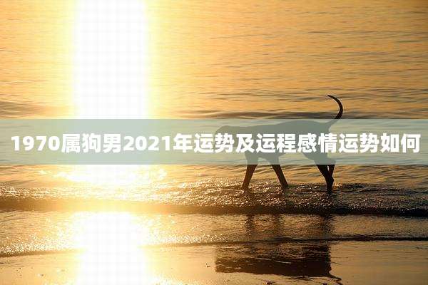 1970属狗男2021年运势及运程感情运势如何