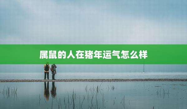 属鼠的人在猪年运气怎么样