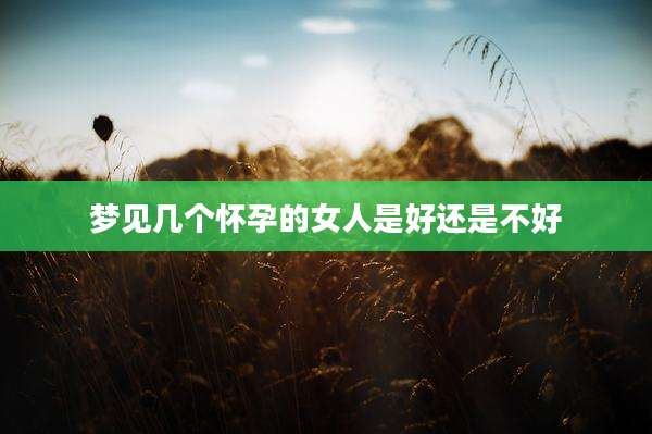 梦见几个怀孕的女人是好还是不好