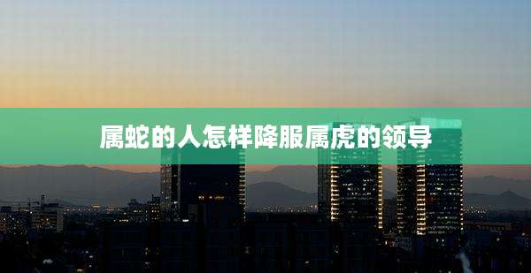 属蛇的人怎样降服属虎的领导