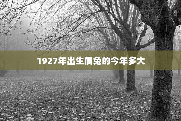1927年出生属兔的今年多大