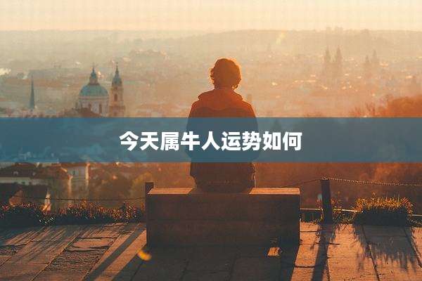今天属牛人运势如何