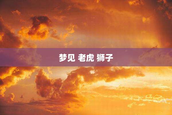 梦见 老虎 狮子