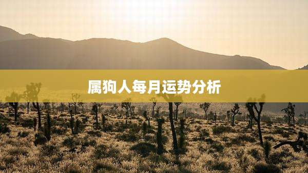 属狗人每月运势分析