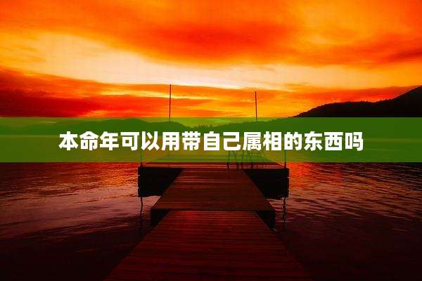 本命年可以用带自己属相的东西吗