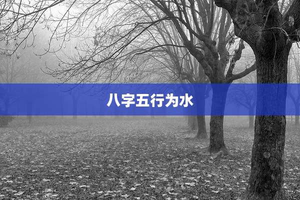 八字五行为水
