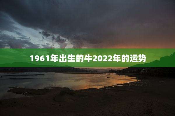 1961年出生的牛2022年的运势
