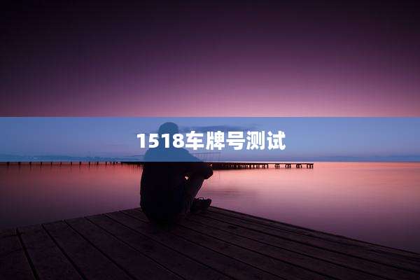 1518车牌号测试