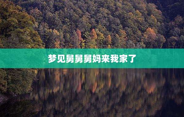 梦见舅舅舅妈来我家了